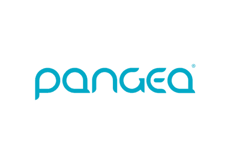 Cómo Usar Pangea Money Transfer para Enviar Remesas al Extranjero.